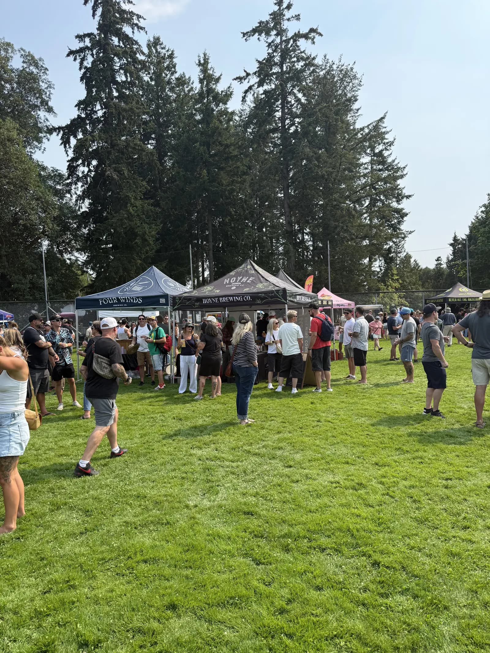 Festival goers under blue skies at the Chemainus beer festival, August 15 2026